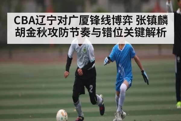 CBA辽宁对广厦锋线博弈 张镇麟胡金秋攻防节奏与错位关键解析